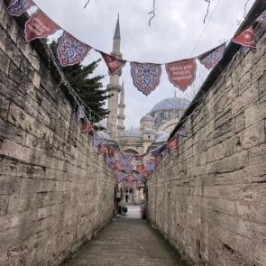 ����: �������