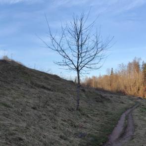 ����: ���� � ����...