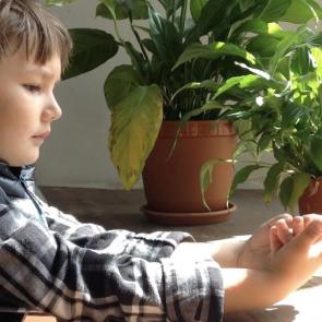 ���� ��������: ������ ������ 