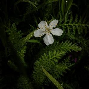 ����: �������� �����