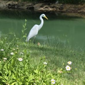 ���� ��������: ����� �����