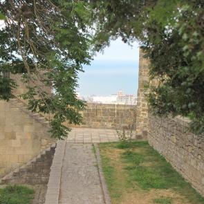 ����: �������