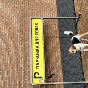 ����: ����������