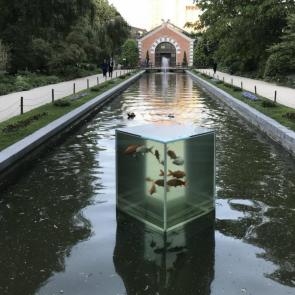 ���� ��������: ������ �����