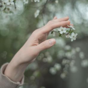 ����: ����������...