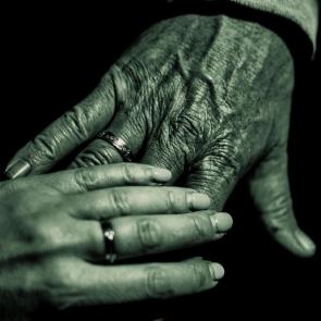 ����: �� ���� ����� ���� �� ����