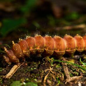 ����: � ������ �����