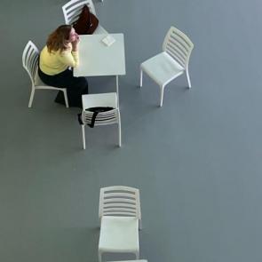 ����: �������� 