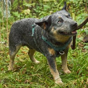 ����: ������, ��� ��������!