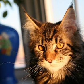 ����: � ����� ������ 