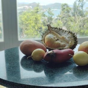 ����: ����������� ���