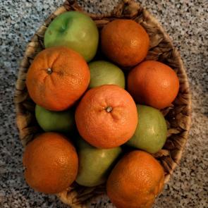 ����: �������