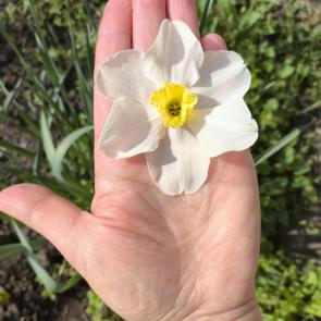 ���� ��������: 