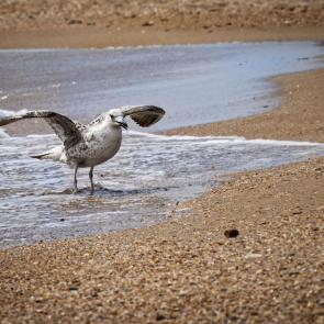 ����: � ������