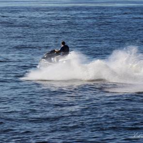 ���� ��������: 