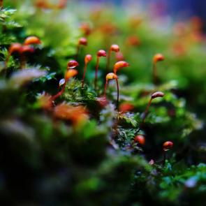 ����: � �������� ���...