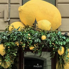 ����: ���������