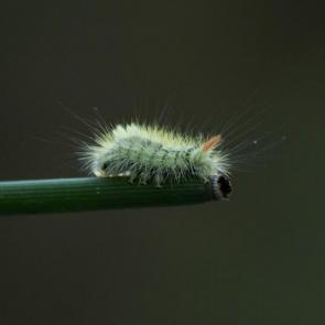 ����: �� ���������� �����������