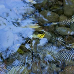 ����: ������� �����