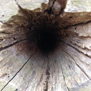 ����: ��� �������� �������