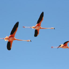 ����: �������� � ����� 