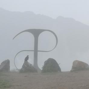 ����: ������ ����