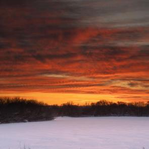 ���� ��������: �����