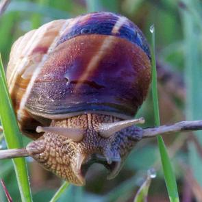 ����: �� �������)