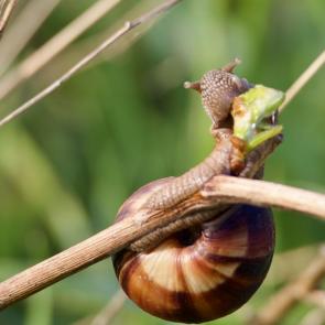 ����: ����� �����