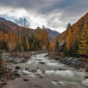 ���� ��������: ������ ����... 