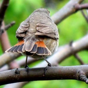 ����: ����� ������?