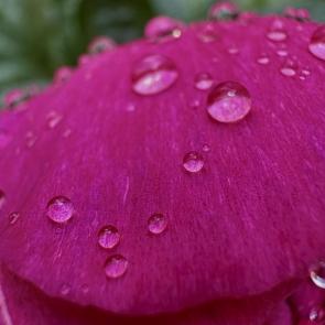 ����: ����� ����� ����� �� �����. 