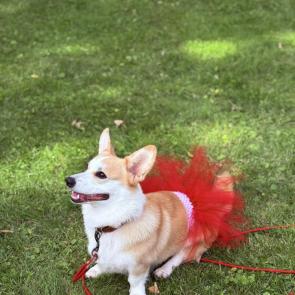 ����: ���� � ������� 