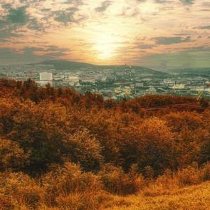 ����: ��������. ����.