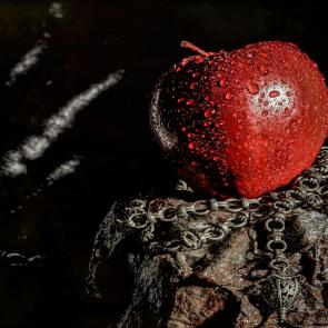 ����: ������ ������.