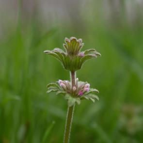 �������� � �����