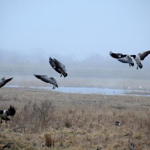 ���� ��������: ����� �� �����