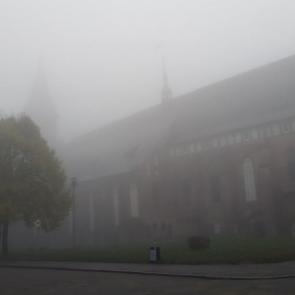 ����: ����������� 