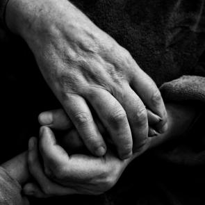 ����: ��������