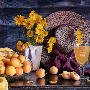 ����: ��������