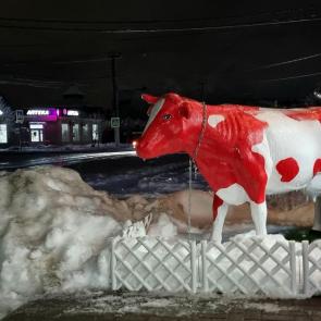 ����: ������� ������