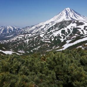 ���� ��������: ����������� ������