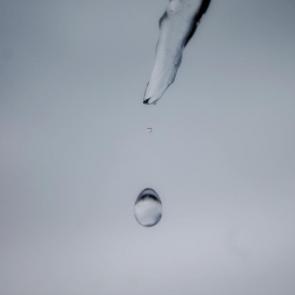 ���� ��������: �����