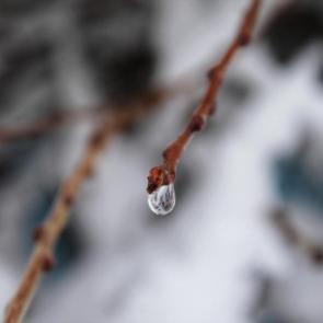 ���� ��������: �������� ��������