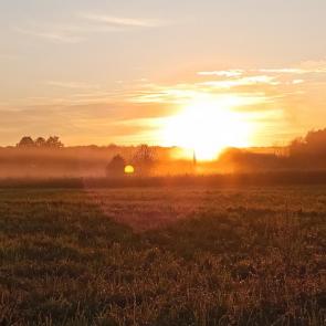 ���� ��������: ������