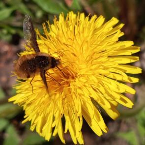 ���� ��������: ��� �����