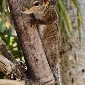 ����: ��������� ����� 