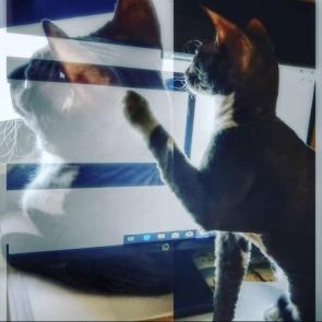 ����: ��� �?!