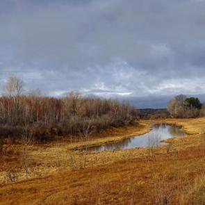 ����: ��������� �����