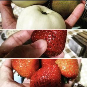 ����: ������